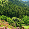 大平つつじ山