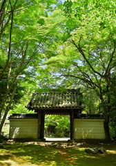 円光寺