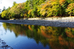 紅葉 五十鈴川