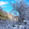 青山高原 冬景色2