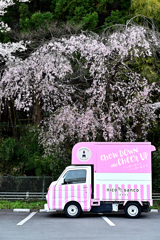桜まつり