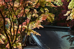 談山神社紅葉4