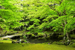 新緑の北畠神社