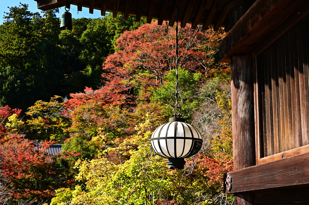 長谷寺 紅葉