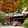 長徳寺紅葉