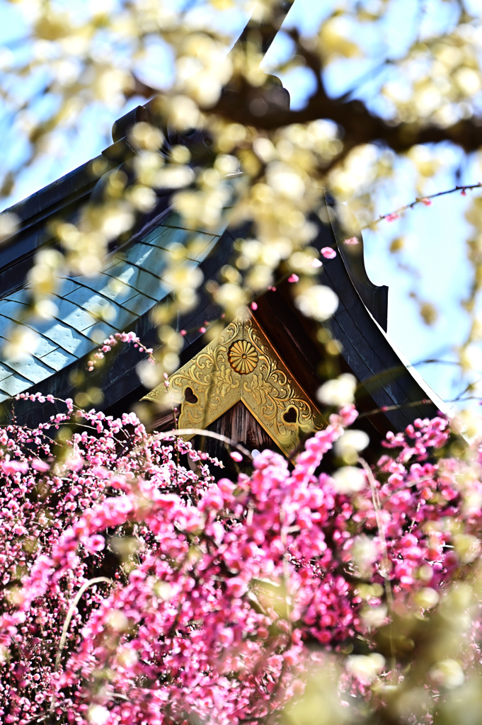結城神社