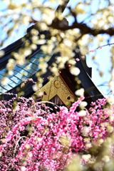 結城神社