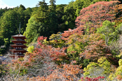 長谷寺 五重塔