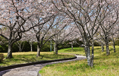 春の散歩道