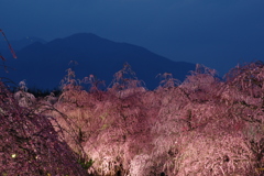 幻想の時間