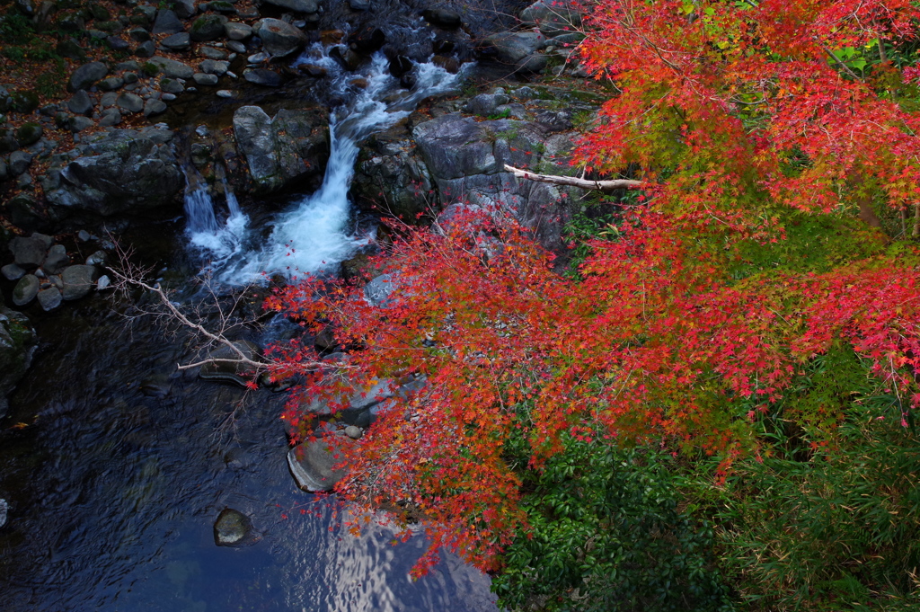 渓谷の秋2