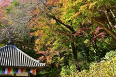 長谷寺 開山堂