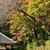 長谷寺 開山堂