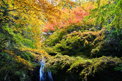 紅葉の滝