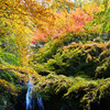 紅葉の滝
