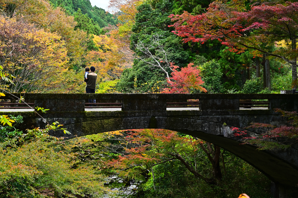 河内渓谷-忍田橋