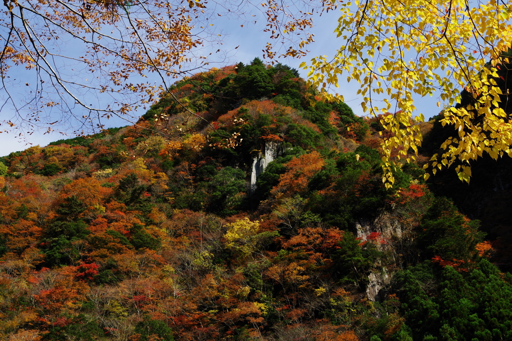 錦色