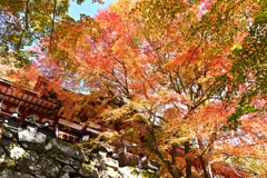 談山神社紅葉