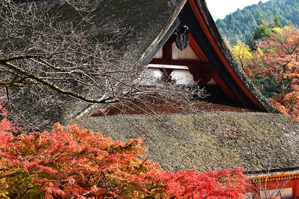 談山神社紅葉5
