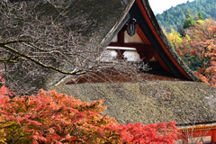 談山神社紅葉5