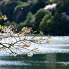湖畔