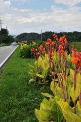 花街道