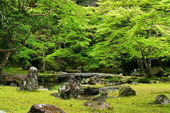 新緑の北畠神社２