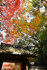 円光寺２