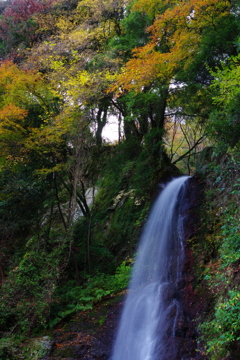 紅葉の滝