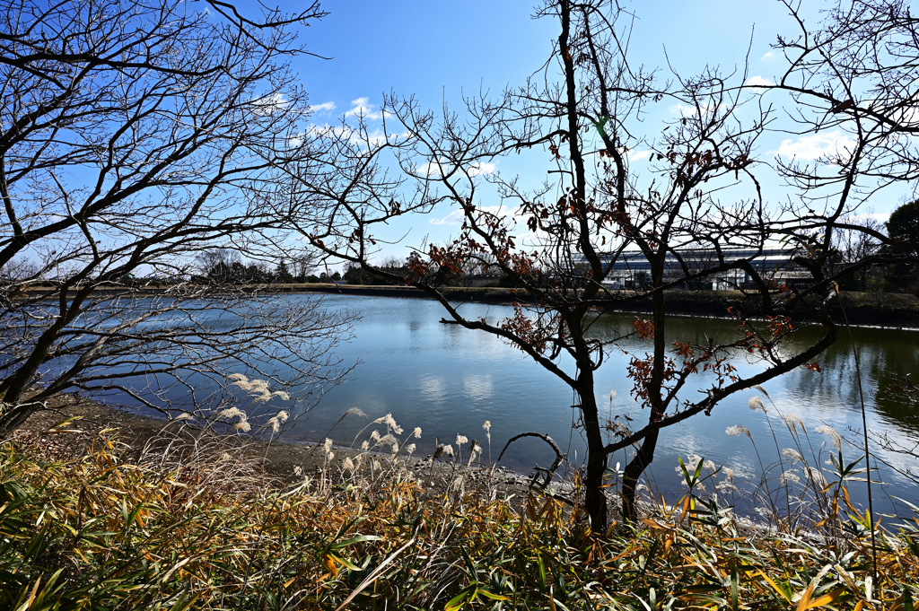 冬の景色