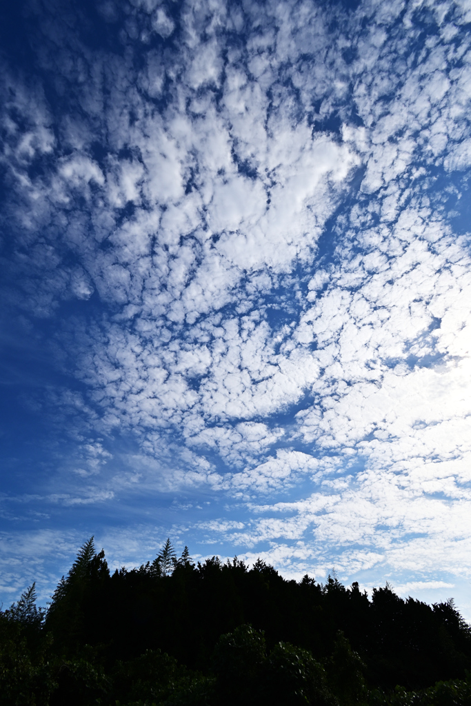 秋空