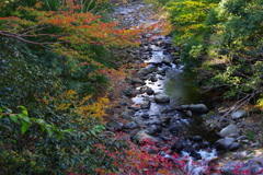 渓谷の秋