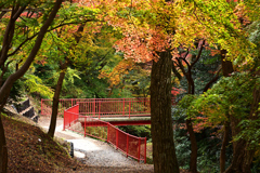 水沢もみじ谷紅葉