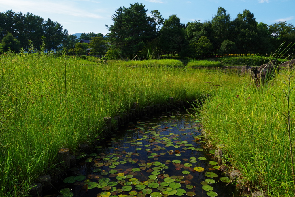 木曽三川公園にて