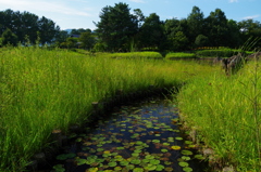 木曽三川公園にて