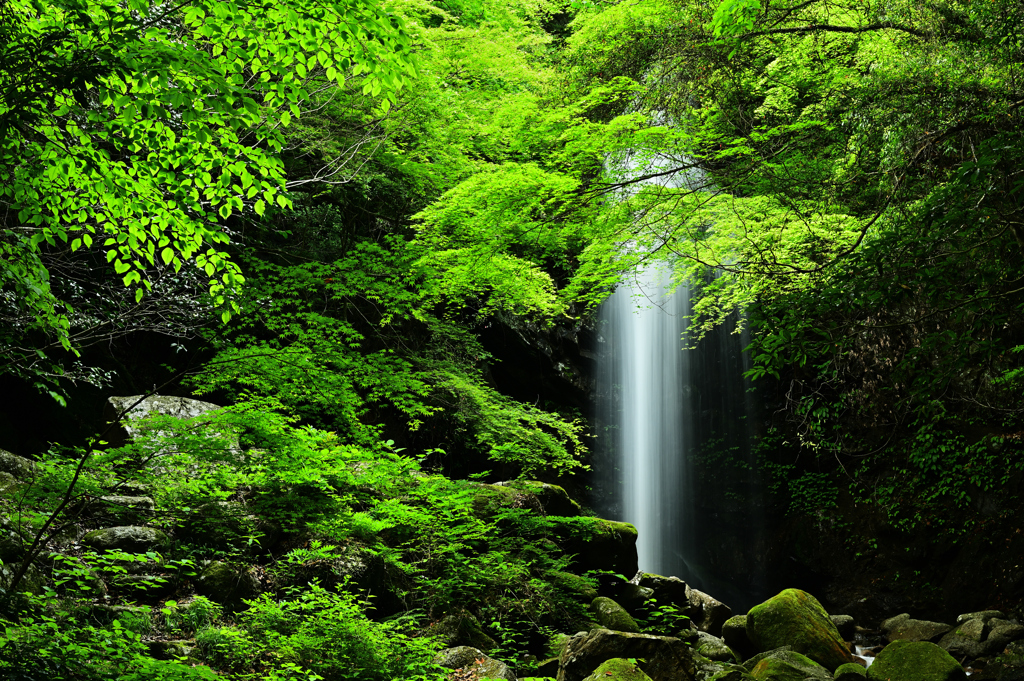 新緑の滝