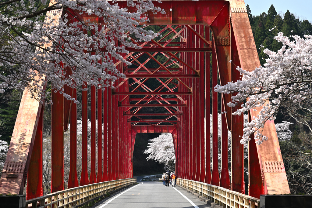 春の青蓮寺湖3