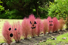 ハロウィンの小路