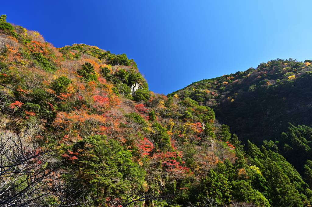 香落渓の紅葉