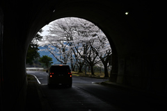 トンネルを抜けると春