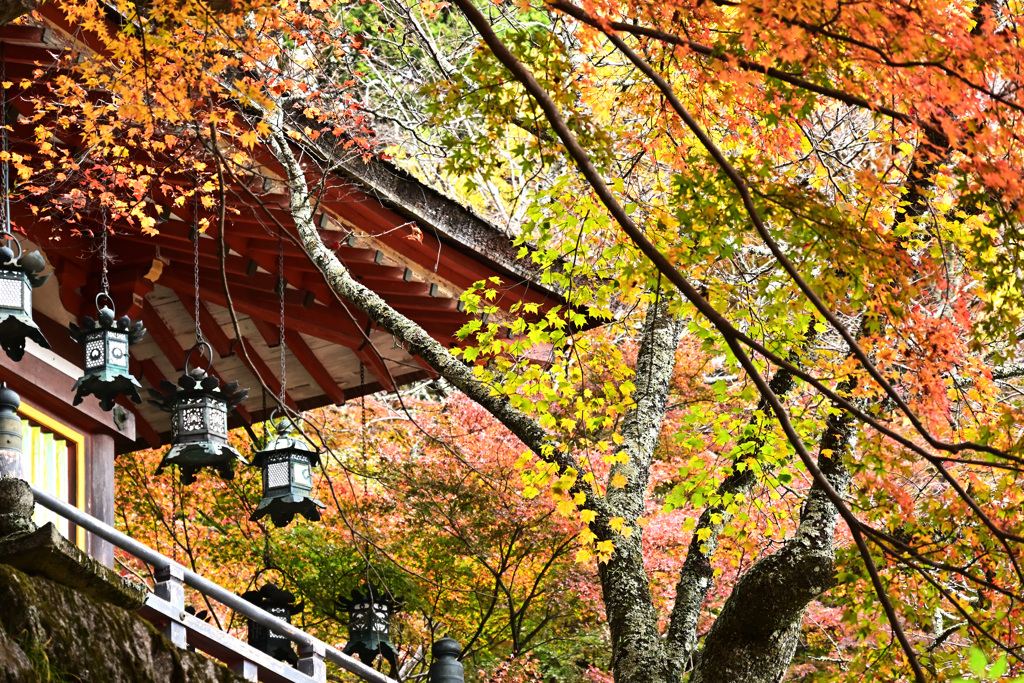 談山神社紅葉2