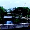 大阪万博記念公園