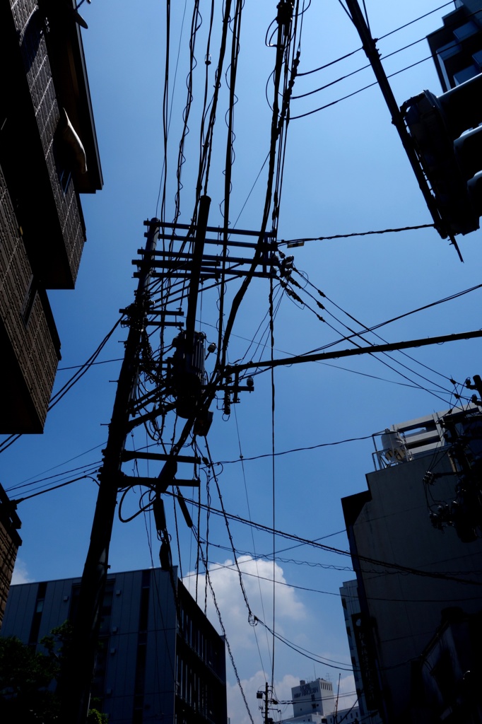 電線の夏