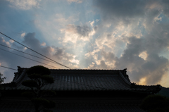 夕方の光