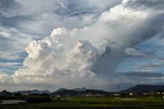 夏の雲