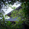 雫