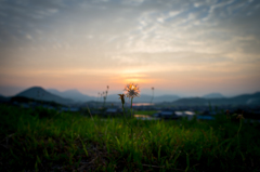 sunrise