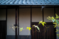 伸ばす手