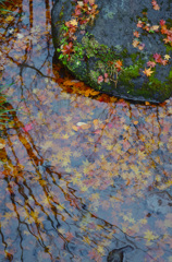 水際の秋