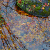 水際の秋